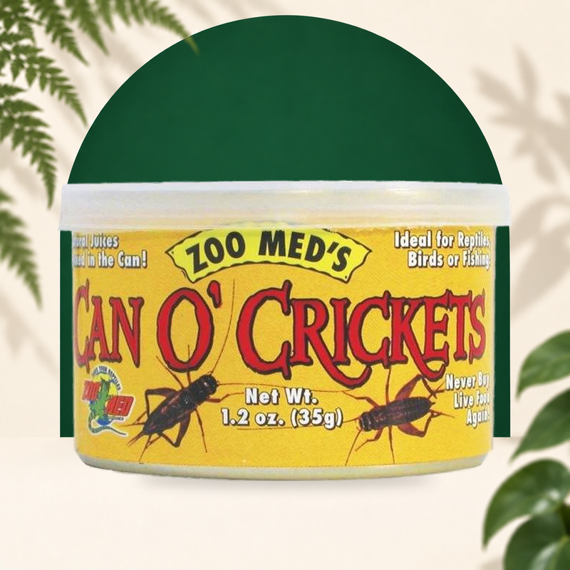 NOUR. CAN'O CRICKET 35grs - zoomed