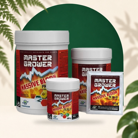 Booster de floraison Massive BLOOM - Hydropassion