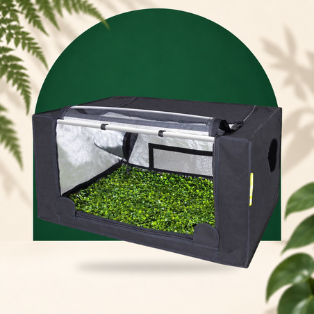 Probox Propagator S - 60 x 40 x 40cm - Garden HighPro