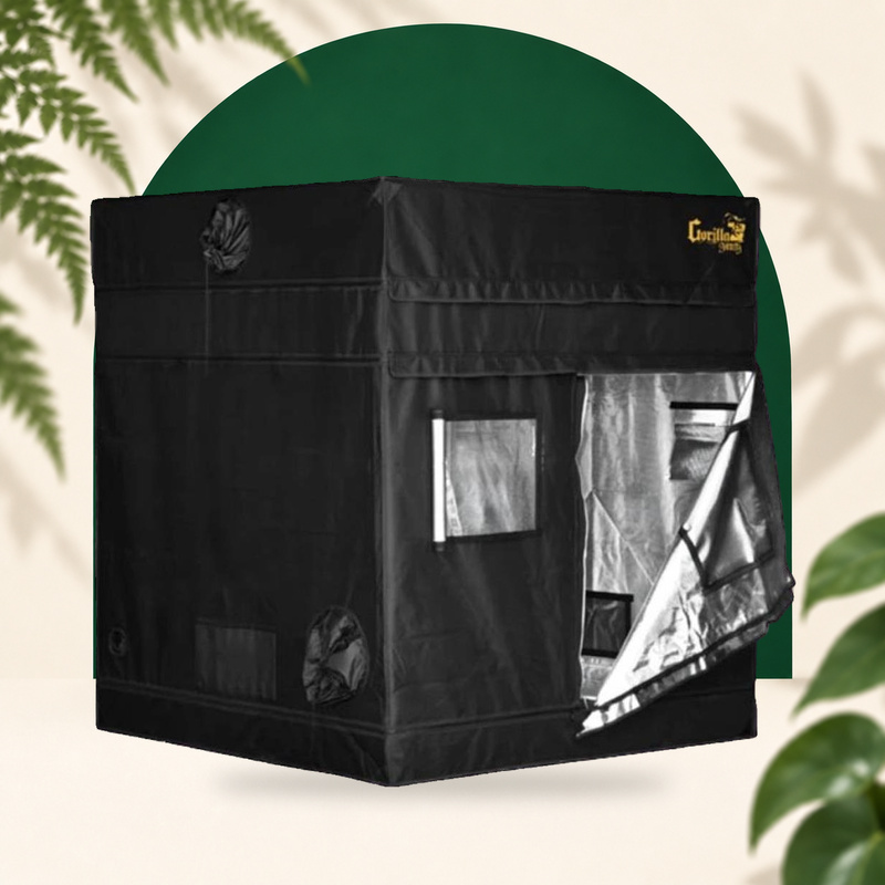 Grow box - Gorilla Shorty Indoor - 150x150x150 / 170cm