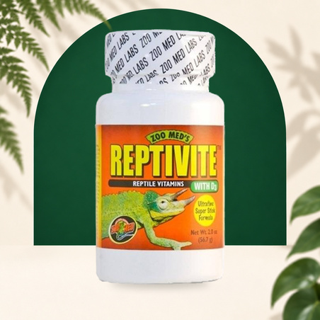 REPTIVITE AVEC D3