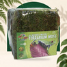 Mousse pour terrarium 5.6L