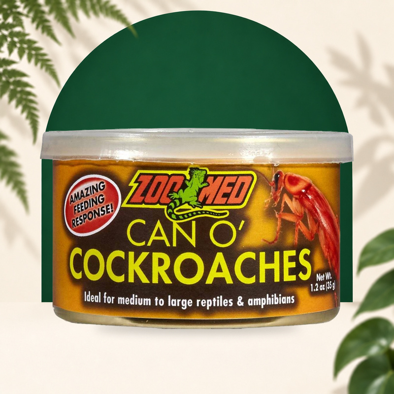 Nourriture Can O’ cockoaches insectes pour reptile 35g