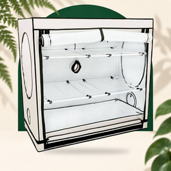 Box de culture Vista Medium - HomeBOX