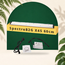 SpectraB.2.G X45 60cm - LED tuinbouwbalk voor groei & bloei