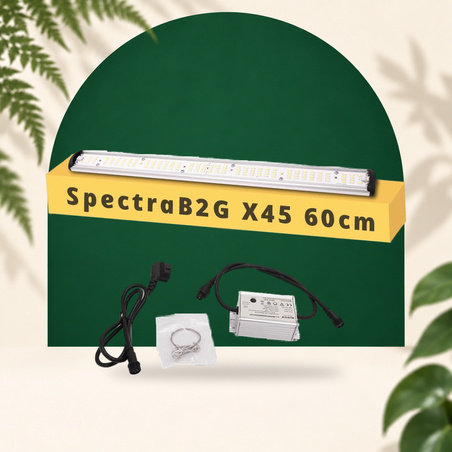 SpectraB.2.G X45 60cm - LED tuinbouwbalk voor groei & bloei