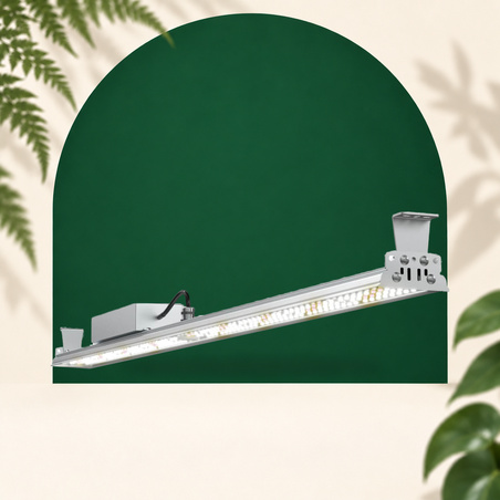 XModule 150W 120CM - LED-tuinbouwbar