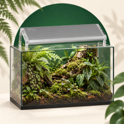 Skylight MID-2H au-dessus d’un terrarium planté · mise en situation illustrative