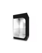 category-195-shop-6-en