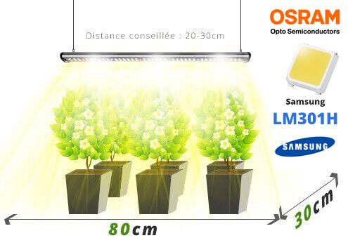 Flächenbeleuchtung Gartenbaulampe LEDs bar spectrab2g