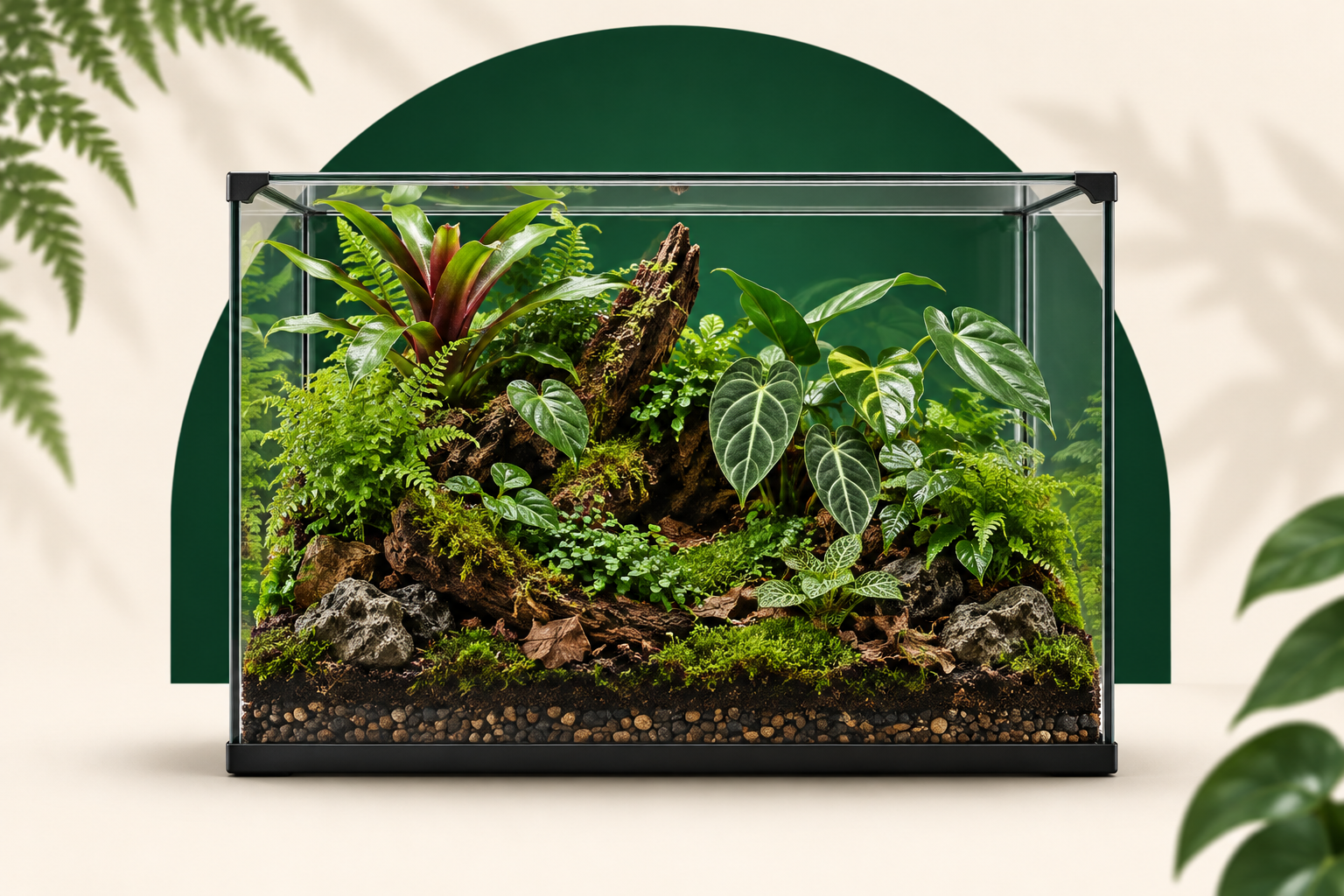 Illustration artistique d’un terrarium planté, dans la direction TerraLED 05C