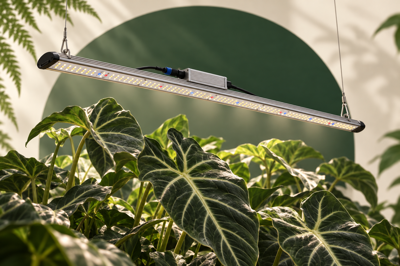 Simulation artistique : barre horticole SpectraB.2.G X90 suspendue au-dessus d’Alocasia et de plantes tropicales, avec lumière douce dirigée vers le feuillage