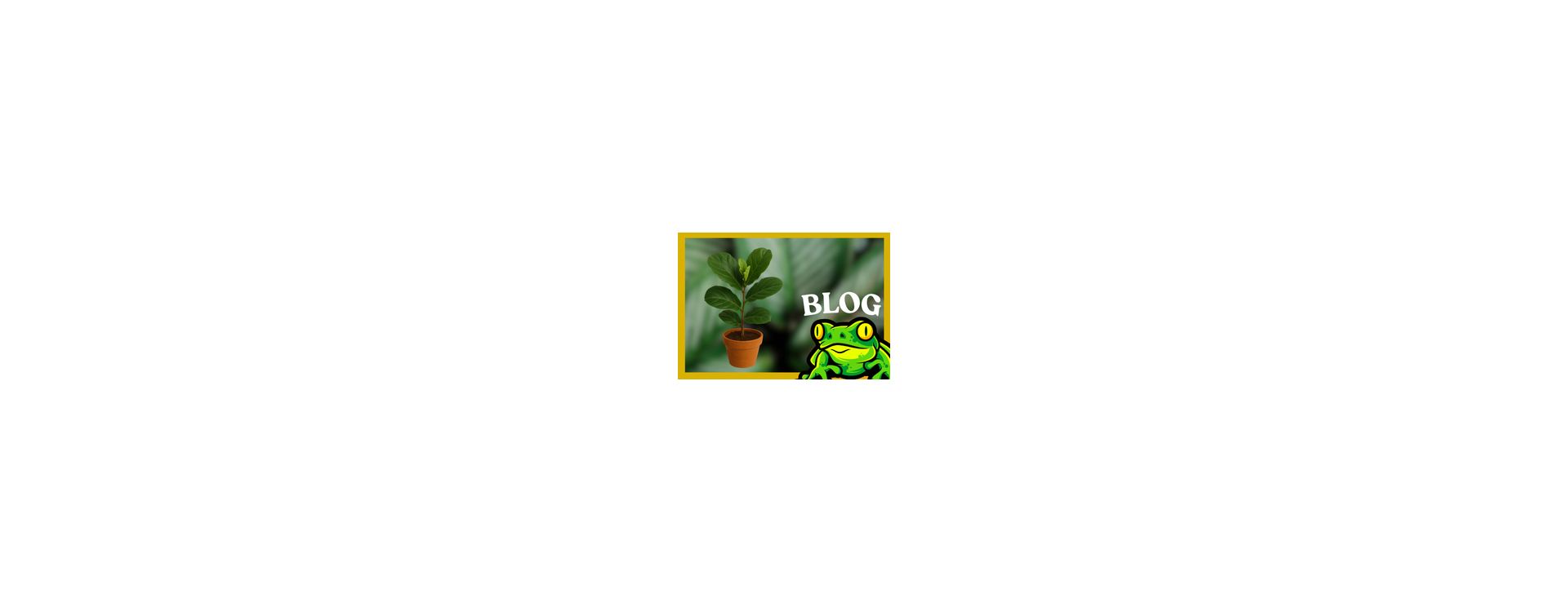 Ficus Lyrata – Complete Growing Guide with LED Lighting