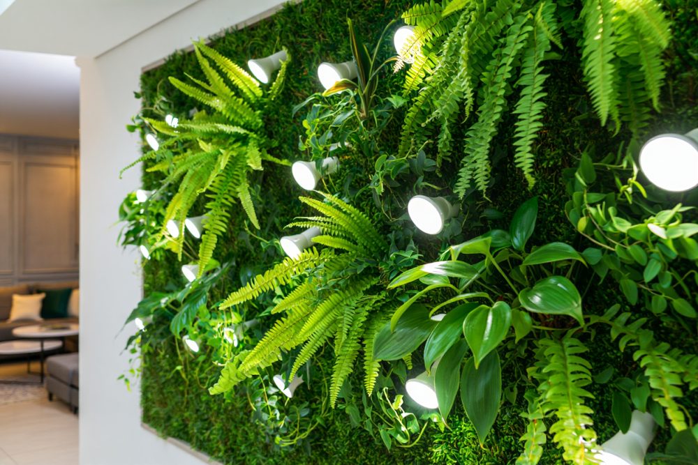 Meilleure lampe horticole pour plantes d'intérieur : guide pour choisir